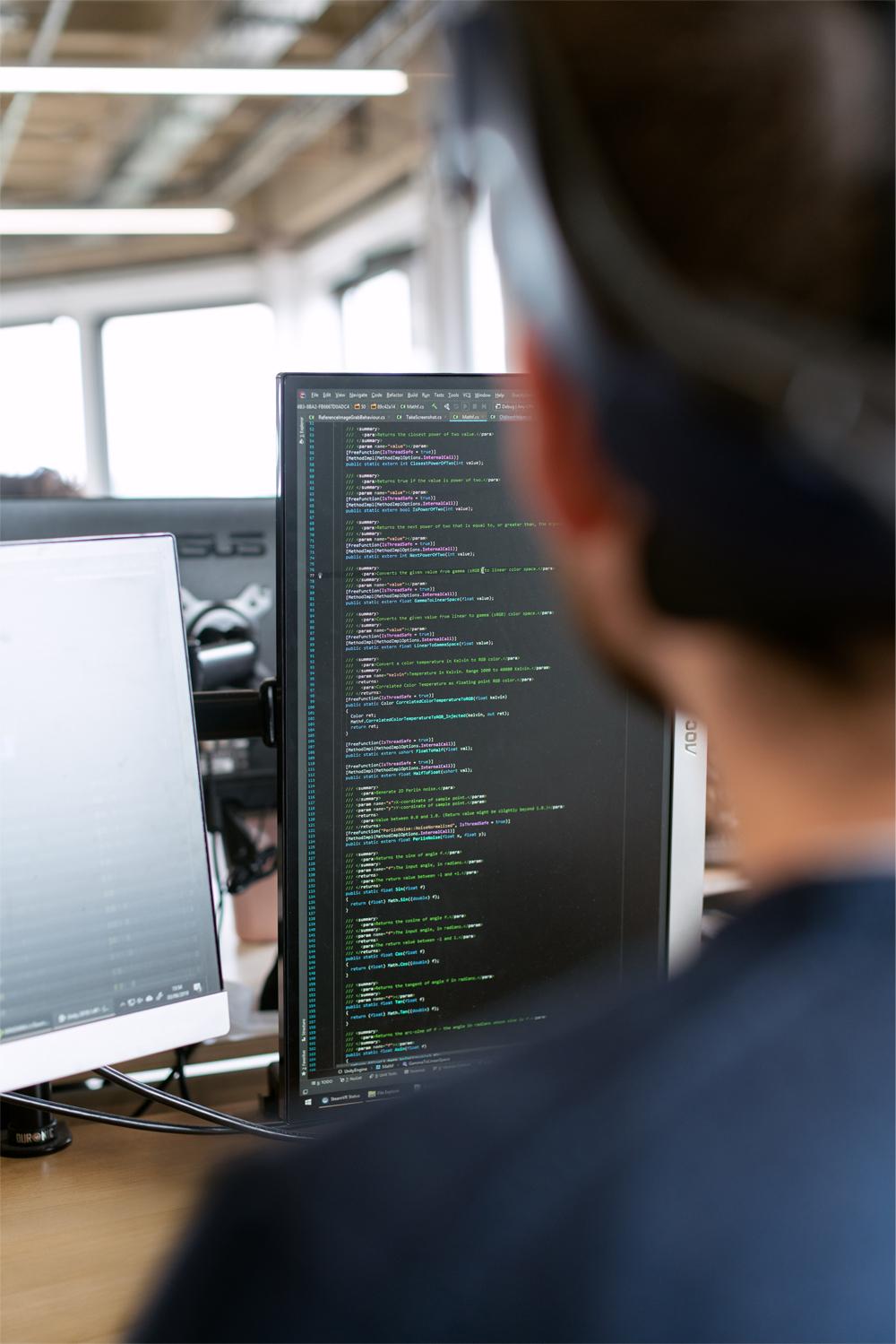 IT consulting team at work